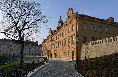 Image 11