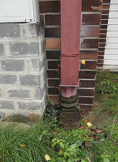 Image 22