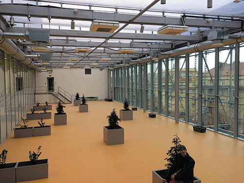 Image 5